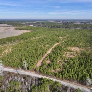 Photo #2 of Off Old Washington Rd, Vanceboro, NC 43.0 acres