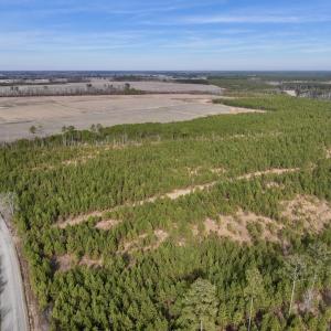 Photo #3 of Off Old Washington Rd, Vanceboro, NC 43.0 acres