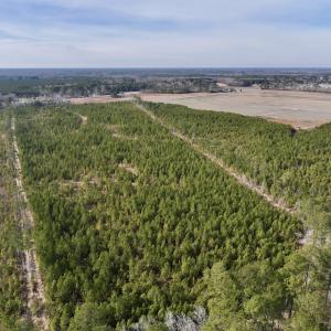 Photo #5 of Off Old Washington Rd, Vanceboro, NC 43.0 acres
