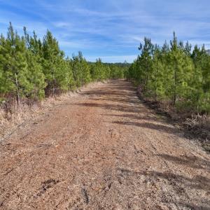 Photo #7 of Off Old Washington Rd, Vanceboro, NC 43.0 acres