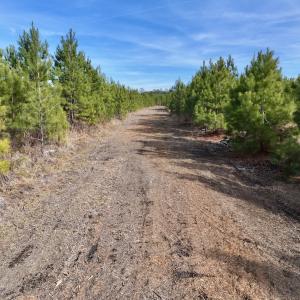 Photo #8 of Off Old Washington Rd, Vanceboro, NC 43.0 acres