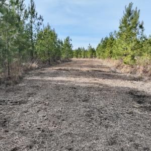 Photo #27 of Off Old Washington Rd, Vanceboro, NC 43.0 acres