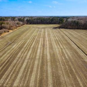 Photo #2 of Off West Rd, Chesapeake, VA 176.0 acres