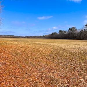 Photo #5 of Off West Rd, Chesapeake, VA 176.0 acres