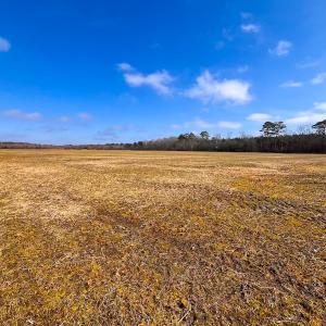 Photo #10 of Off West Rd, Chesapeake, VA 176.0 acres