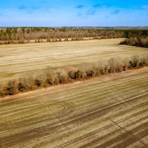 Photo #20 of Off West Rd, Chesapeake, VA 176.0 acres