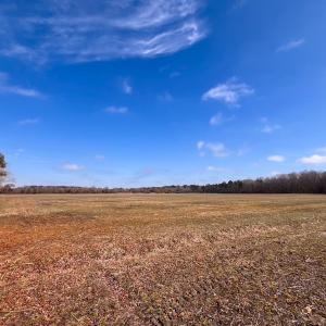 Photo #22 of Off West Rd, Chesapeake, VA 176.0 acres