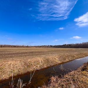 Photo #26 of Off West Rd, Chesapeake, VA 176.0 acres