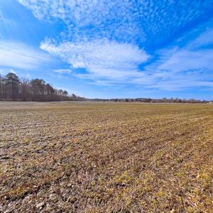 Photo #30 of Off West Rd, Chesapeake, VA 176.0 acres