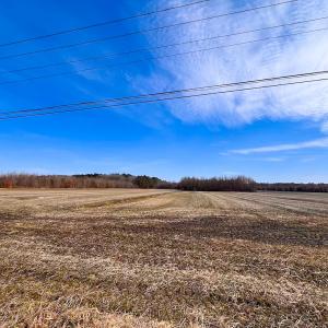 Photo #31 of Off West Rd, Chesapeake, VA 176.0 acres