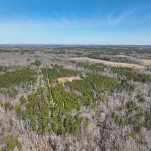 Photo #1 of Off Scott Rd, Semora, NC 69.0 acres