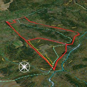 Photo #2 of Off Scott Rd, Semora, NC 69.0 acres