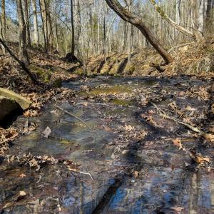 Photo #3 of Off Scott Rd, Semora, NC 69.0 acres