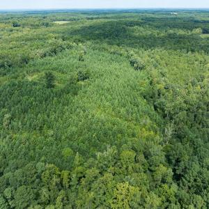 Photo #4 of Off Scott Rd, Semora, NC 69.0 acres