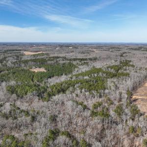 Photo #6 of Off Scott Rd, Semora, NC 69.0 acres