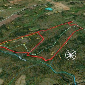 Photo #8 of Off Scott Rd, Semora, NC 69.0 acres