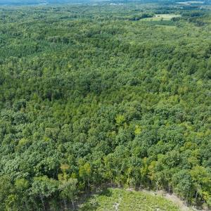 Photo #11 of Off Scott Rd, Semora, NC 69.0 acres