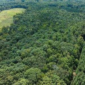 Photo #19 of Off Scott Rd, Semora, NC 69.0 acres