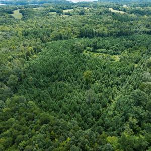 Photo #21 of Off Scott Rd, Semora, NC 69.0 acres