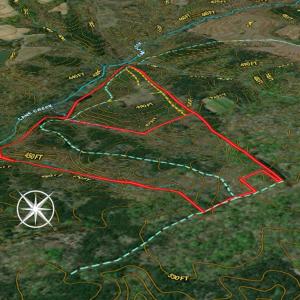 Photo #22 of Off Scott Rd, Semora, NC 69.0 acres