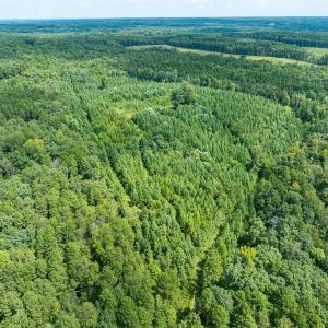 Photo #23 of Off Scott Rd, Semora, NC 69.0 acres