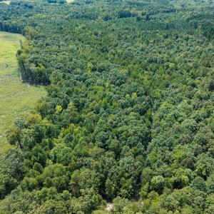 Photo #24 of Off Scott Rd, Semora, NC 69.0 acres