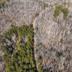 Photo #25 of Off Scott Rd, Semora, NC 69.0 acres