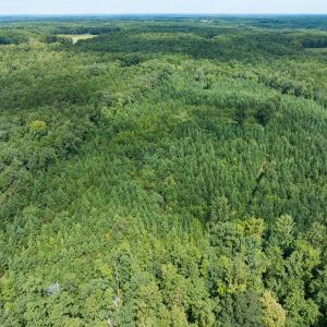 Photo #28 of Off Scott Rd, Semora, NC 69.0 acres