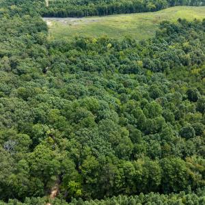 Photo #31 of Off Scott Rd, Semora, NC 69.0 acres