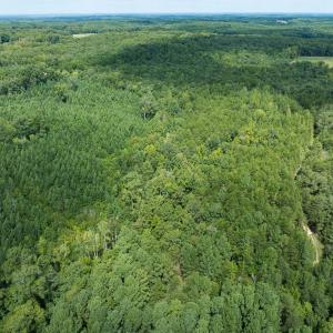 Photo #34 of Off Scott Rd, Semora, NC 69.0 acres