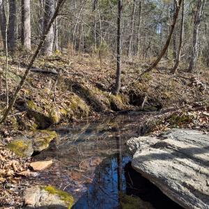 Photo #36 of Off Scott Rd, Semora, NC 69.0 acres