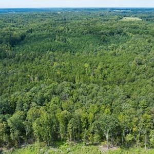 Photo #38 of Off Scott Rd, Semora, NC 69.0 acres