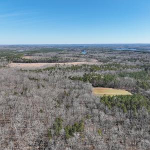 Photo #39 of Off Scott Rd, Semora, NC 69.0 acres