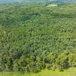 Photo #40 of Off Scott Rd, Semora, NC 69.0 acres