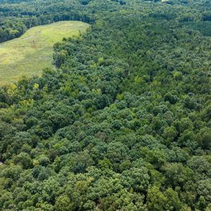 Photo #42 of Off Scott Rd, Semora, NC 69.0 acres