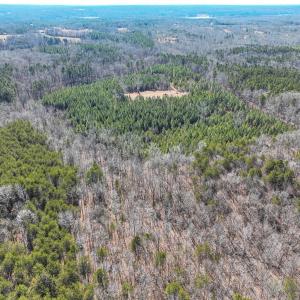 Photo #43 of Off Scott Rd, Semora, NC 69.0 acres