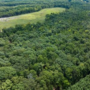 Photo #46 of Off Scott Rd, Semora, NC 69.0 acres