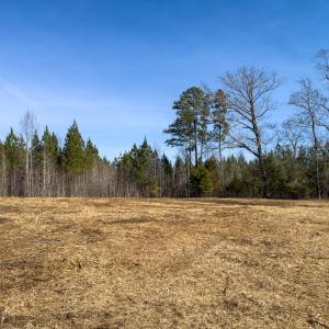 Photo #49 of Off Scott Rd, Semora, NC 69.0 acres