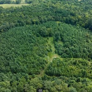 Photo #52 of Off Scott Rd, Semora, NC 69.0 acres