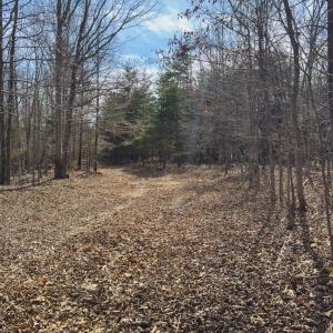 Photo #57 of Off Scott Rd, Semora, NC 69.0 acres
