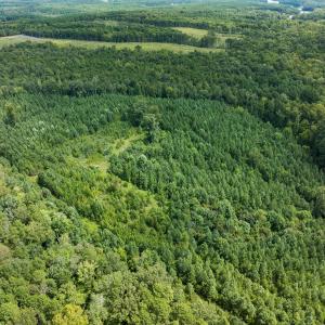 Photo #58 of Off Scott Rd, Semora, NC 69.0 acres