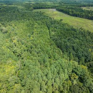 Photo #60 of Off Scott Rd, Semora, NC 69.0 acres