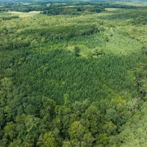 Photo #62 of Off Scott Rd, Semora, NC 69.0 acres