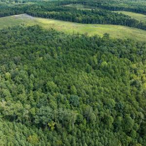 Photo #68 of Off Scott Rd, Semora, NC 69.0 acres