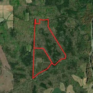 Photo #71 of Off Scott Rd, Semora, NC 69.0 acres