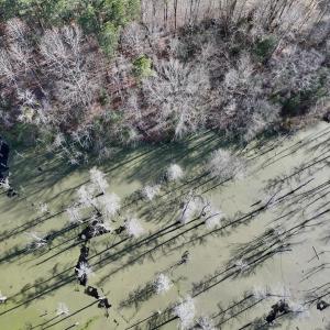 Photo #13 of Off Fork Rd, Tyner, NC 27.0 acres