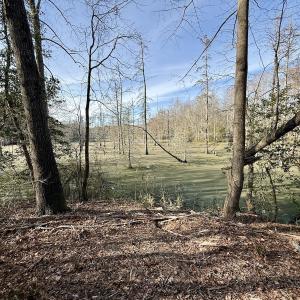 Photo #14 of Off Fork Rd, Tyner, NC 27.0 acres