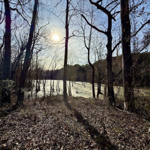 Photo #17 of Off Fork Rd, Tyner, NC 27.0 acres