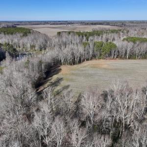 Photo #18 of Off Fork Rd, Tyner, NC 27.0 acres