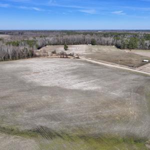 Photo #19 of Off Fork Rd, Tyner, NC 27.0 acres